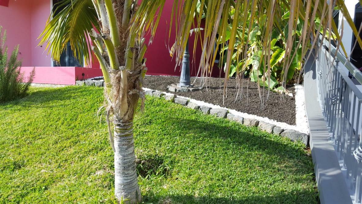 شقة Pink House بونتا دو سول المظهر الخارجي الصورة